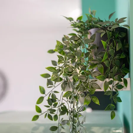 Nalu Luxury Adults Only Kéfalos